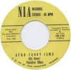DEL JONES / AFRO FUNKY ISM / BIG FEET (FUNKY REGGAE)