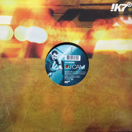 DJ CAM / BRONX THEME