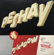 DJ SHADOW / WHAT DOES YOUR SOUL LOOK LIKE