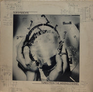DUB SYNDICATE / TUNES FROM THE MISSING CHANNEL