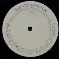 DUB ARCHANOID TRIM / JUMBENOID