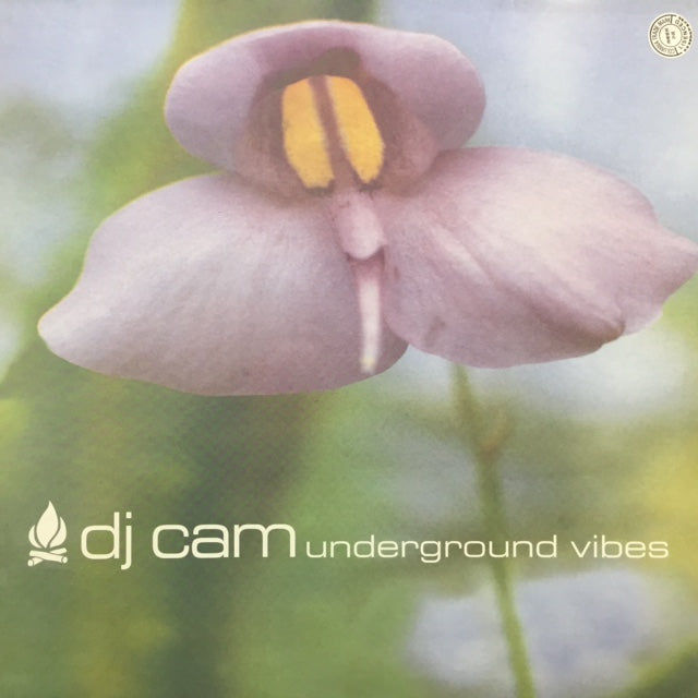 (USED)DJ CAM UNDERGROUND VIBES アナログレコード DJ CAM / UNDERGROUND VIBES – TICRO MARKET