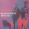DIRTY BEATNIKS / THE NEW ADVENTURES OF SANNY & BUD