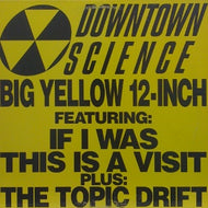 DOWNTOWN SCIENCE / IF I WAS