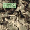 DUB SYNDICATE / STONED IMMACULATE