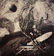 DAVID SYLVIAN / SECRETS OF THE BEEHIVE
