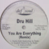 DRU HILL / YOU ARE EVERYTHING REMIX