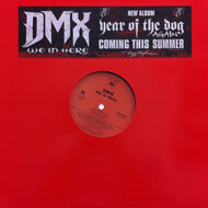 DMX / WE IN HERE