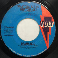 DRAMATICS / WHATCHA SEE IS WHATCHA GET