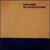 DAVID GRUBBS / THE SPECTRUM BETWEEN
