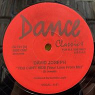 DAVID JOSEPH / YOU CAN'T HIDE