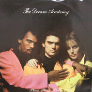 DREAM ACADEMY / PLEASE,PLEASE,PLEASE,LET ME GET WHAT I WANT