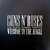 DIRTY FUNKER / WELCOME TO THE JUNGLE
