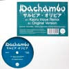 DACHAMBO / サルビア・オリビア