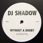 DJ SHADOW / WITHOUT A DOUBT