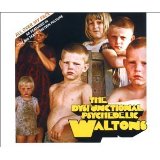 DYSFUNCTIONAL PSYCHEDELIC WALTONS / ALL OVER MY FACE