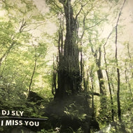 DJ SLY / I MISS YOU