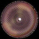 DECLAIME ＆ FLYING LOTUS / WHOLE WIDE WORLD