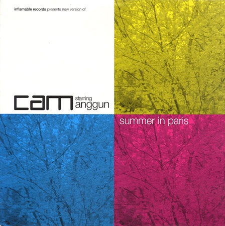 DJ CAM / SUMMER IN PARIS REMIX