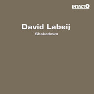 DAVID LABEIJ / SHAKEDOWN