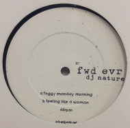 DJ NATURE / A FOGGY MONDAY MORNING