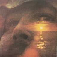 DAVID CROSBY / IF I COULD ONLY REMEMBER MY NAME