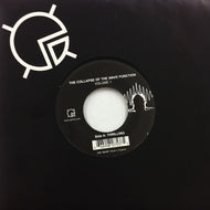 DMX KREW / THE COLLAPSE OF THE WAVE FUNCTION VOLUME 1