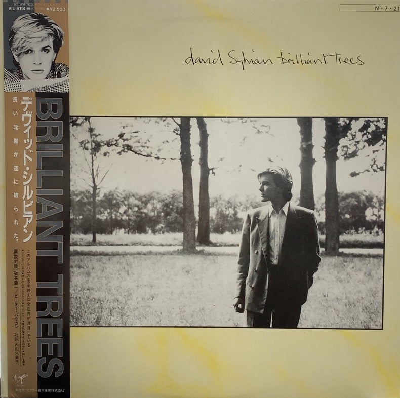 DAVID SYLVIAN / BRILLIANT TREES 帯付 – TICRO MARKET