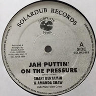 DUB PLATE VIBE CREW / DUBPLATE VIBES