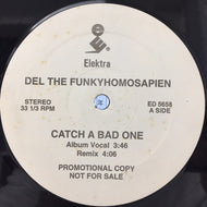 DEL THE FUNKY HOMOSAPIEN / CATCH A BAD ONE
