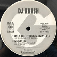 DJ KRUSH / MEISO (PROMO)