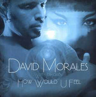 DAVID MORALES / HOW WOULD U FEEL