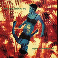 DRIZABONE / Catch The Fire
