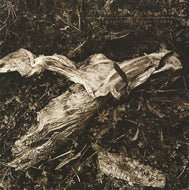 DAVID SYLVIAN & HOLGER CZUKAY / Plight & Premonition