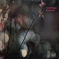 DAVID DIGGS / Realworld