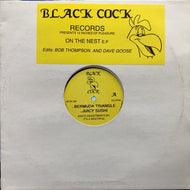 DJ HARVEY / ON THE NEST E.P.