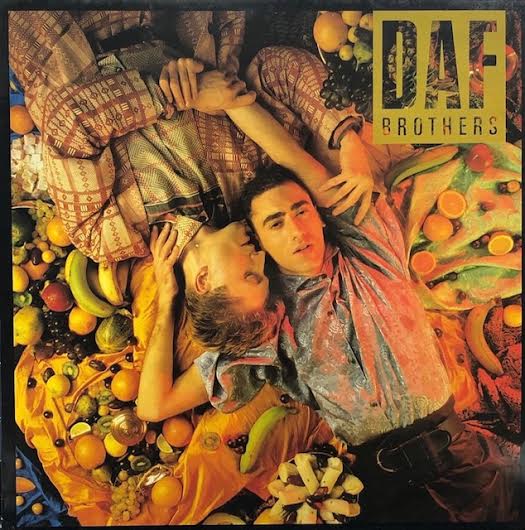 DAF / Brothers – TICRO MARKET