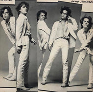 DAVID JOHANSEN / In Style