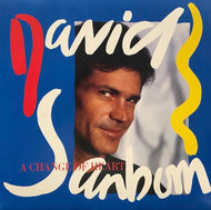 DAVID SANBORN / A Change Of Heart