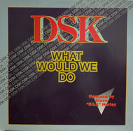 DSK / WHAT WOULD WE DO (ZYX)