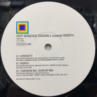 DEEP SENSUOUS ENSEMBLE / Rebirth EP