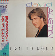 DAVID AUSTIN / Turn To Gold (帯付)