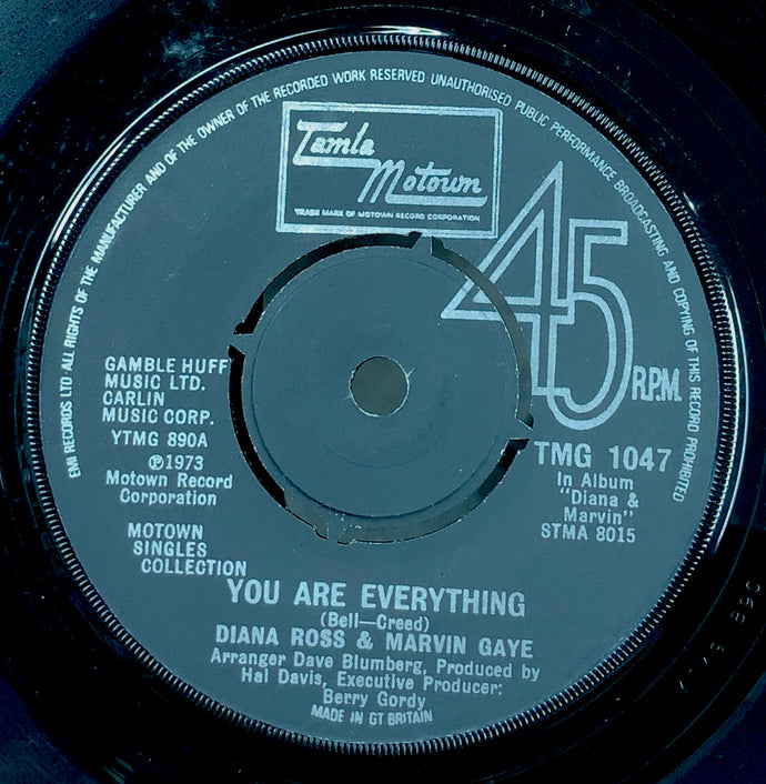DIANA ROSS & MARVIN GAYE & TAMMI TERRELL / You Are Everything / The Onion Song