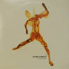 DIVINE COMEDY / BAD AMBASSADOR