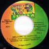 DAMIAN JR.GONG MARLEY / WELCOME TO JAMROCK