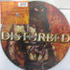 DISTURBED / LAND OF CONFUSION