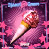 DJ ASARI / 31 GROOVE DISCOVERY