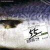 DJ UE / MONTHLY WHIZZ VOL.55