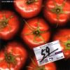 DJ UE / MONTHLY WHIZZ VOL.59