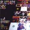DJ PERRO / PLATINUM MIX